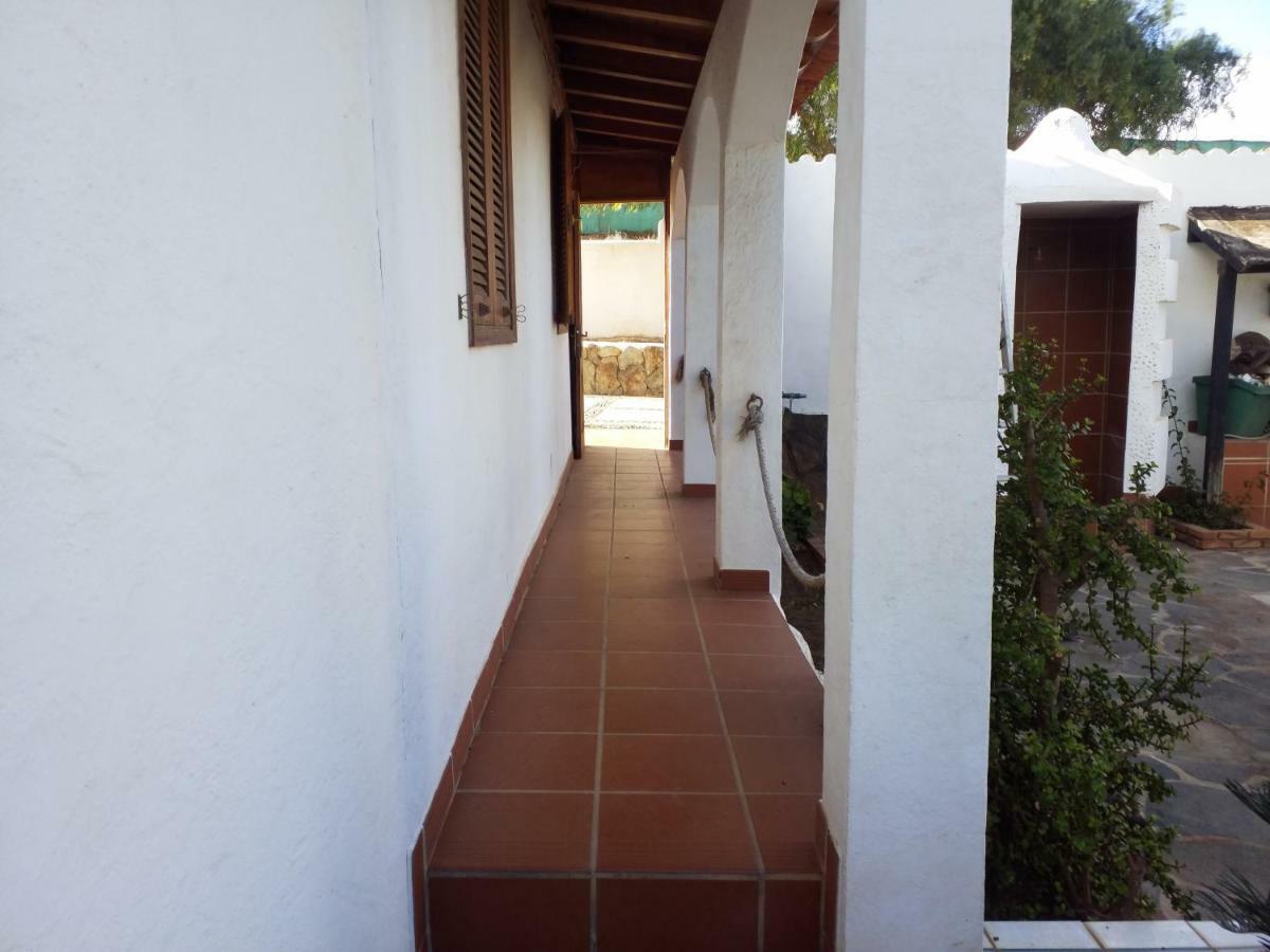 Palmeras Ingenio Exterior foto