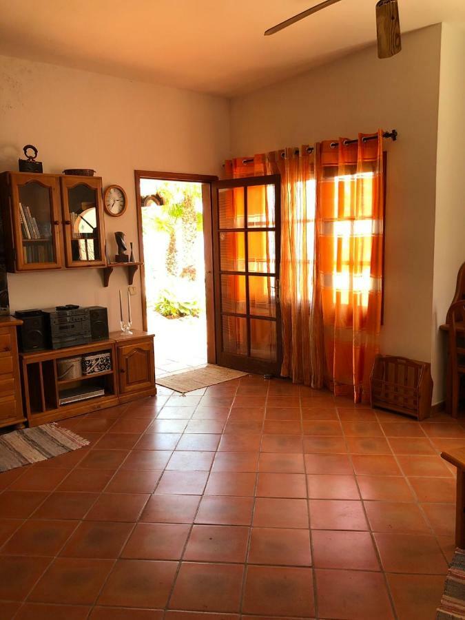 Palmeras Ingenio Exterior foto